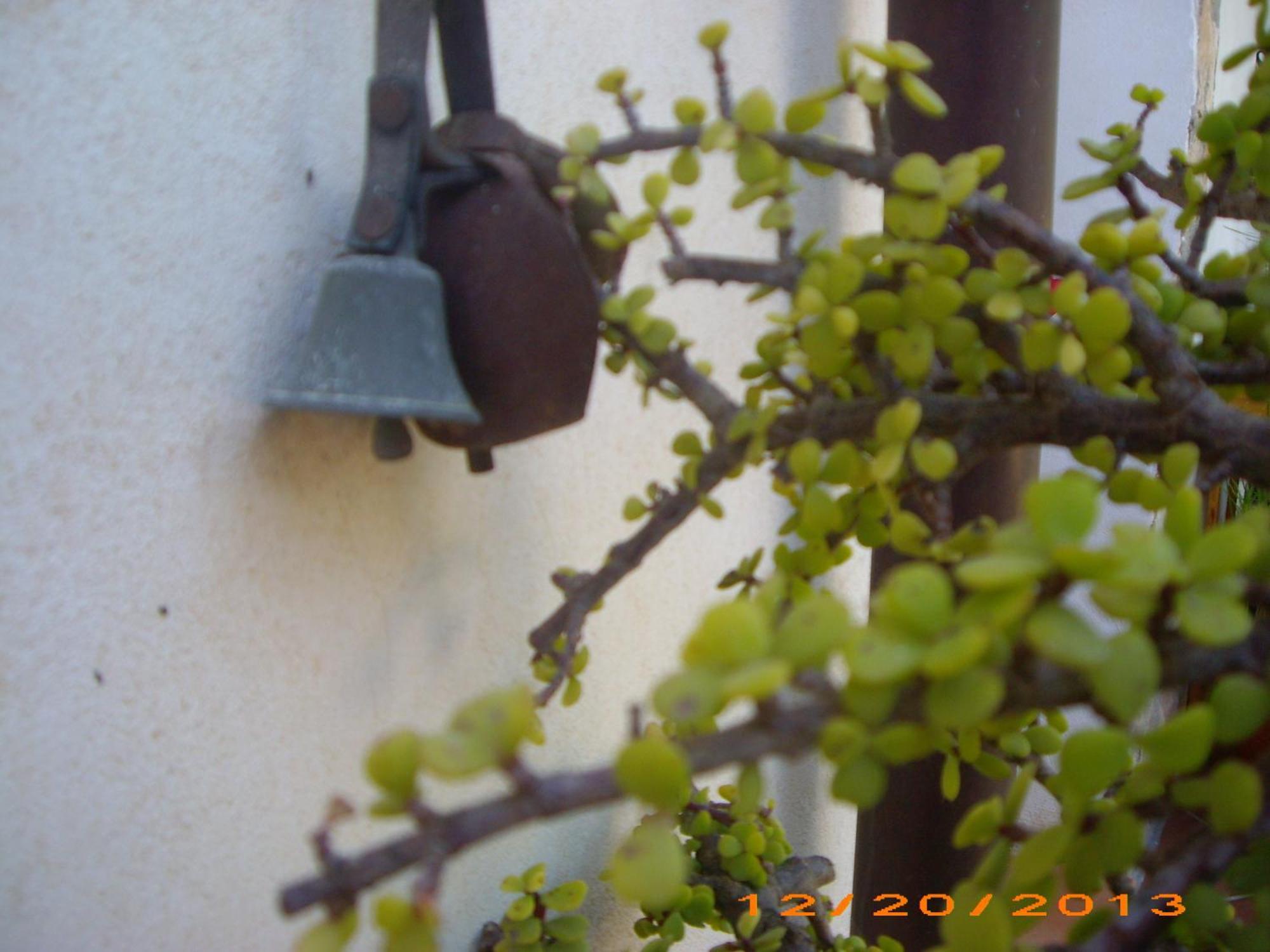 La Bianca Scogliera Bed & Breakfast Realmonte Dış mekan fotoğraf