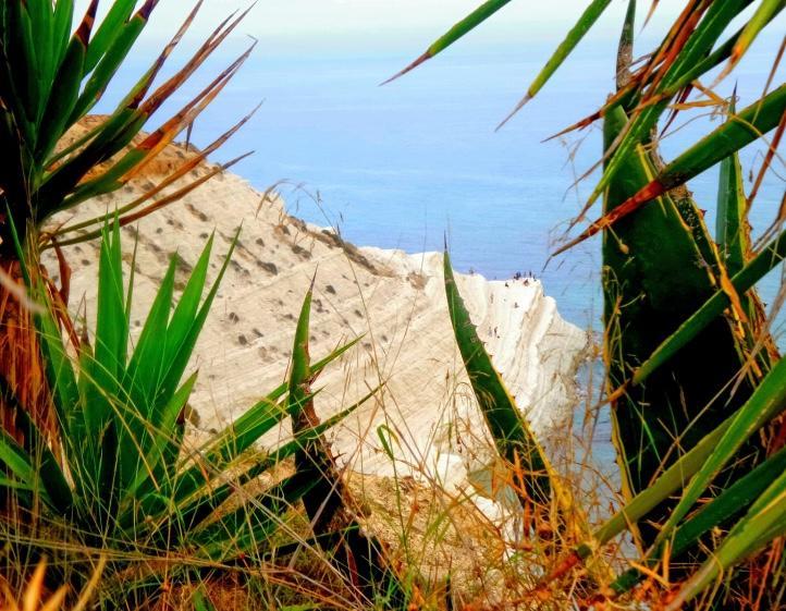 La Bianca Scogliera Bed & Breakfast Realmonte Dış mekan fotoğraf