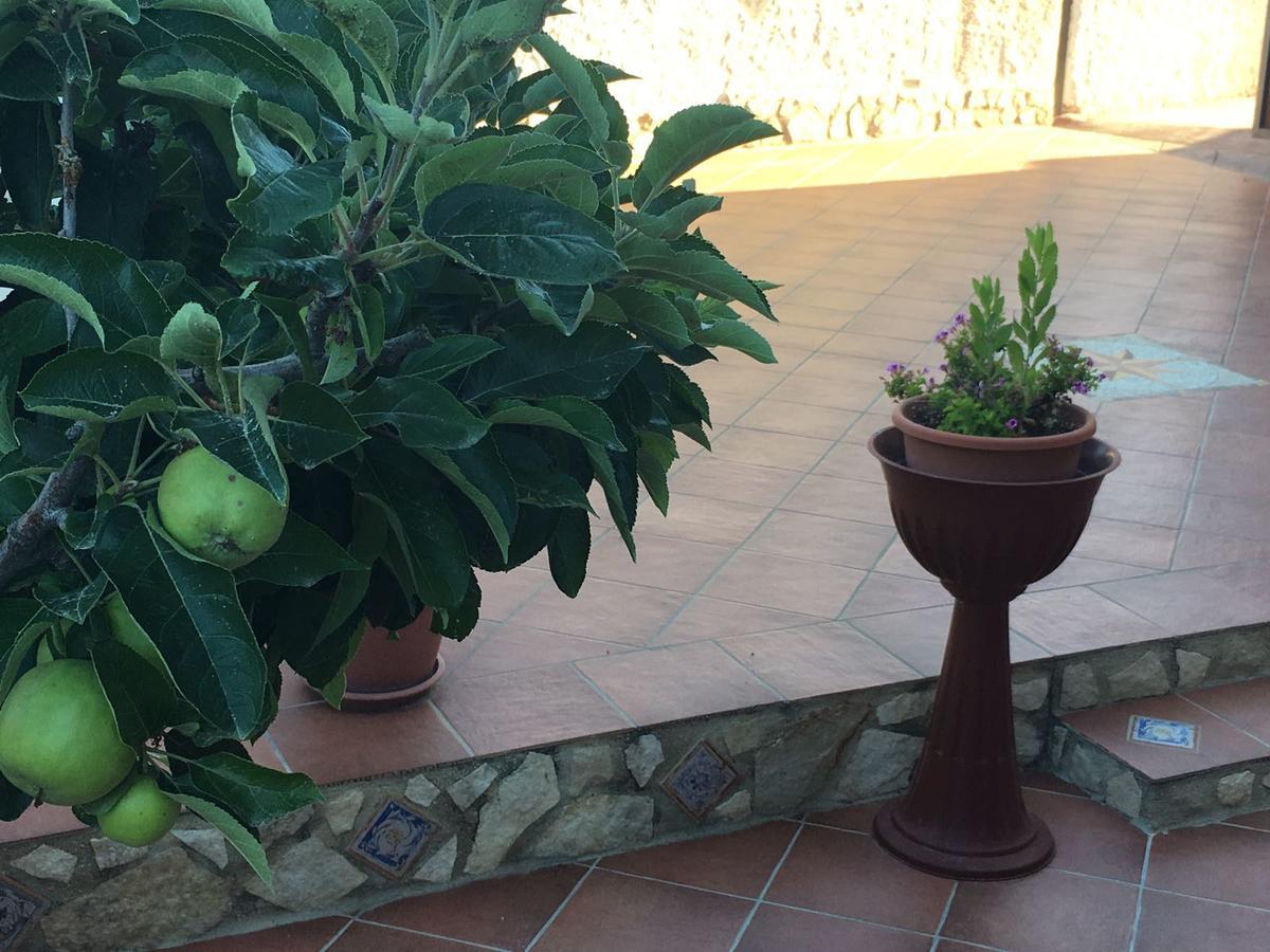 La Bianca Scogliera Bed & Breakfast Realmonte Dış mekan fotoğraf
